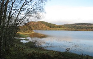 Loch Ruthven  - a beautiful and tranquil reserve near Loch Ness