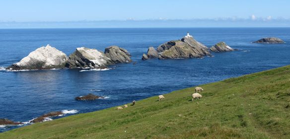 These stacks are the most northerly parts of the British Isles - and Out Stack (to the right) is the last solid surface before the Arctic ice cap. The rocks on the left are white because they are covered by a large gannet colony. 